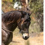 LightRider Leather Stockhorse Bitless Bridle